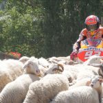 Los pilotos Repsol, unidos por un desafío común