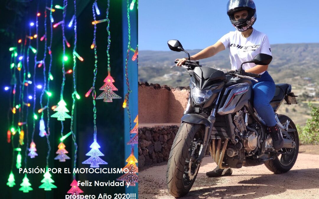 ¡Feliz Navidad y un Próspero Año Nuevo 2020!